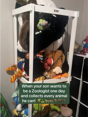 Stuffed animal storage! I like that you can see all of the animals. We had them in huge bean bag before and it ripped because he has so many. It was also hard because he couldn’t see them when he was looking for a specific one. #relodecor #stuffedanimalzoo #stuffedanimalstorage #storage #stuffedanimals #stuffedanimal #zoo 