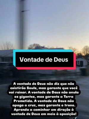 A vontade de Deus é perfeita #goodmorning #gratidão #palavradedeus 