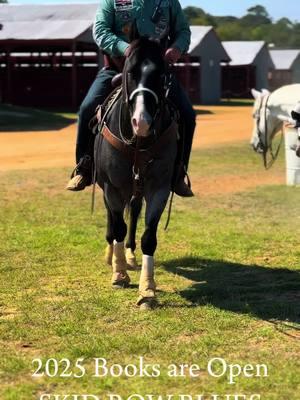 💥2025 Books are Officially Open for SKID ROW BLUES!! Frozen semen only. #hzroan #blueroanstallion #aqhastallion #buckcreekroans #cowgirlwithagun #stallion #splashofwhite #breedingseason2025 #CapCut 