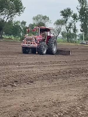 #paradesilife #pindawale #truckinglife #tractorlover #Shazada #mashallah❤️💯 