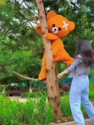 Funny bear video P65 #bear #gau #troll #viral #humor #fun #prank #omg #amazing #trollbear #funnybear #gaulaythanhgaulieu