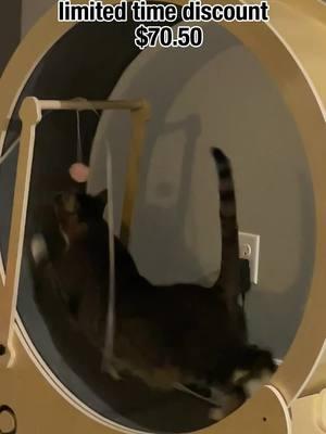 When curiosity turns into obsession… My cats can’t get enough of their new running wheel! 🐾 #CatLife #CatExercise #HappyCatsMajor #Tantohom #DecorationDesign #PetProducts #Pet