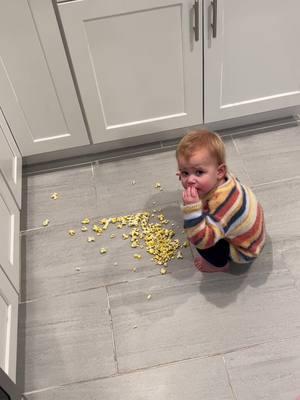 not her eating popcorn off the floor🥴 #wmkeiad #kideating #kidbreakfast #babybreakfast #toddlerbreakfast #toddlerlunch #toddlerdinner #pickyeater #realisticmeals #kidfood #toddlerfood #toddlerapproveddinner 