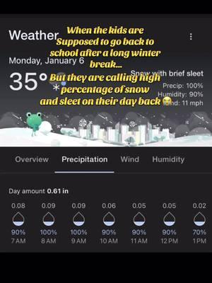 Why Mother Nature. Why? Please give us parents one day! #fypシ #butchtastic #howyerdoin #snowday 