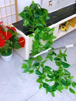 Climbing Vine Plant Fixer - Make Your Greenery More Beautiful!This climbing vine fixer easily attaches to the wall, and with a simple clip, it securely holds your plants in place. It helps your pothos or other vining plants grow stable, and allows for creating beautiful shapes. Make your home more vibrant with lively plants!#VineFixingClip #PlantHolder #PothosFixer #HomeGreening #PlantCare