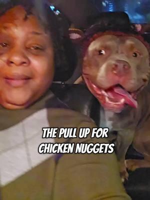 Nova Got Chicken Nuggets And Ate Them Live On YouTube 🐾❤️🐕 #dogsoftiktok #PetsOfTikTok #tiktokpets #bullybreed #americanbullybreed #adorabledog 