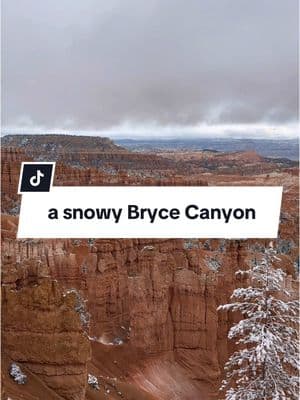 Visiting Bryce Canyon National Park while it was snowing was an absolute dream ☁️😌 October was such a great month to visit - the weather was perfect for us 🤗 This was definitely one of our favorite parks we visited in Utah! Have you been to the Mighty 5 in Utah? Which park is your favorite?  #wanderingpassports #travel #utah #brycecanyon #nationalpark #utahtravel #brycecanyonnationalpark #traveltiktok #adventuretravel 