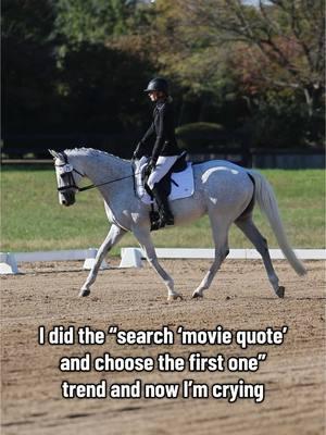 As an AA who didn’t get their first horse until their late 20’s and got into a new discipline at almost 30 this is pretty much my inner monologue 😭 🎥 by the amazing @Mandy  #horsetok #quote #lalaland #emotional #ottb #thoroughbred #eventer #dressage #hunter #jumper #relatable #trend #trending #saturday #weekend #winter #horseshow #secondcareer #adulthobby #hobby #sport #equestrian #equestrianproblem #amateur #afultamateur #crosscountry #dreams