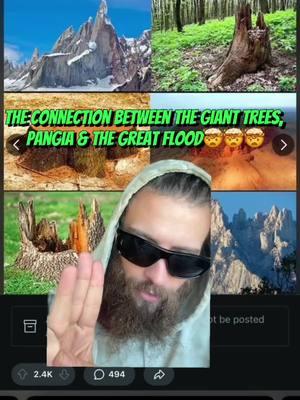 This is the connection between the giant trees that were cut down, Pangia & how the great flood actually happened🤯🤯🤯 #gianttrees #greatflood #pangia #fyp 