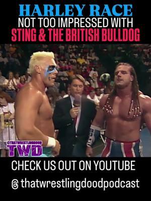 Did Sting & Bulldog ever get a name for their team?  WCW SATURDAY NIGHT - MAY 29, 1993    Go check us out on YouTube @ Thatwrestlingdoodpodcast (LINK is ALWAYS in the BIO!!!)..  Don’t forget to LIKE, COMMENT, SHARE & FOLLOW.. . . . .  #sting #britishbulldog #tonyschiavone #harleyrace #wcw #worldchampionshipwrestling #wcwwrestling #90swrestling #thatwrestlingdood #wwenetwork #luchalibre 