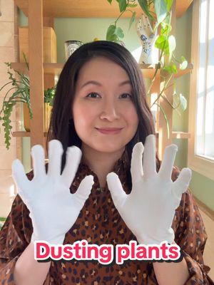 Here’s how I dust my indoor plants!  I’ll put on a pair of reusable cotton gloves and listen to a riveting murder podcast! My plants are much prettier afterwards 🤗 Do you dust your houseplants??? Gloves: Amazon recommendations link in bio! Blouse:  @Sézane Max shirt in Leo Print #cubehousejungle #plantcare #plantlover #plantsoftiktok #houseplantsoftiktok #houseplants #foliage #homedecor #SelfCare #dusting #cleaning #sezane #sezanelovers 