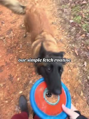 our simple walk routine #dogwalkingroutine #dogwalkinghack #dogmom #hikingwithdogs #onthisday 