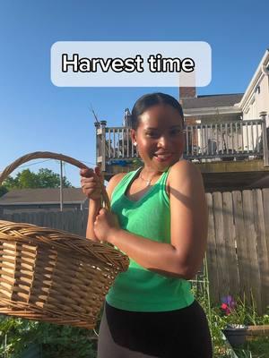 This video just reminds me how much of a summer girl I am. Winter sucks!!! Anyway, happy gardening!  #garden #gardening #urbanfarming #fyp #gardener 