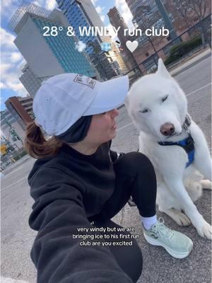 Brought Ice to his first run club today and he did so good! I’d say between the insane wind and lots of pets he was a little overstimulated, he kept calm but just pooped 3 times 😂🤭  Was talking to the #1 dog foster in NYC @mfink_ about the 3-3-3 rule for adopted/foster dogs. Highly recommend looking into it if you don’t know about it. What’s crazy is the first 3 days, Ice wouldn’t leave his bed unless he was being walked or fed but now he likes to walk around and sit/sleep at our feet! One week in and he’s run 18 miles!!! We’re looking into a new harness for him, any recommendations please lmk!  I’m excited to see how much changes and see more of his personality over the next couple of weeks. We have a lot of work to do with commands and tricks, he’s great on leash and running but still needs some tweaks! So proud of the progress so far 🥹🤍🧊  #runtok #nycrunning #nycrunclub #runclubnyc #nomorelonelyruns #iceonthemove #runningwithdogs 