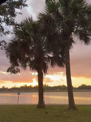 #brighterday #michaelfrantispearhead #michaelfranti #nature #palmtrees #sunset #dontgiveup #peacenlove 