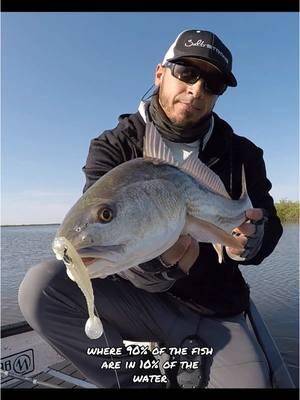 Are you struggling to find and catch redfish now that winter is here? Finding fish comes down to finding the 90/10 Zone ➡️ Look for wind-protected areas with soft bottoms. These areas will warm quicker and draw the fish in.  #redfish #winterfishing #winterfishingtips #fishingtips #saltwaterfishing #inshorefishing #flatsfishing #flatsfishing #redfishfishing 