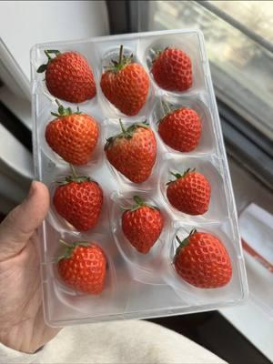 My first time trying these viral expensive strawberries. 🍓 definitely some of the sweetest berries I tried. Would you give these a try?  #oishii #strawberries #oishiiberries #tastetest #Foodie #foodilysm #bestfood #nycfood #foodies #food #newyork #nycfood 