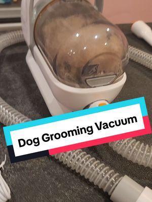 Dog Gooming Vacuum.  Say goodbye to shedding and hello To a spotless home with the pet grooming vacuum.  #groomingvacuum #vacuumhaircut #petgroomer #vacuumgroomer #petvacuum #PetGrooming #PetCareMadeEasy #NoMoreShedding #CleanHomeHappyPet #PetLovers #GroomingTools #FurFreeLife #PetVacuum #StressFreeGrooming #HealthyPets #TikTokShop #spotlightfinds 