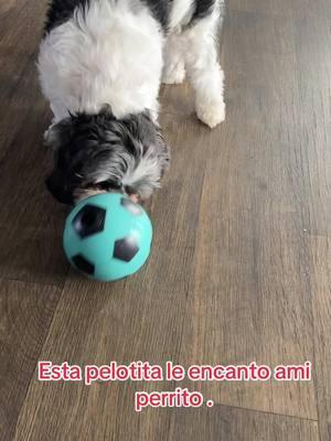 Con esta pelota van a comer croquetas sus perritos #dog #food #emircey #creatorsearchinsights #tiktokshopfinds #Erommy #tiktokshopholidayhaul #tiktokshopsummersale #TikTokShop #boll 