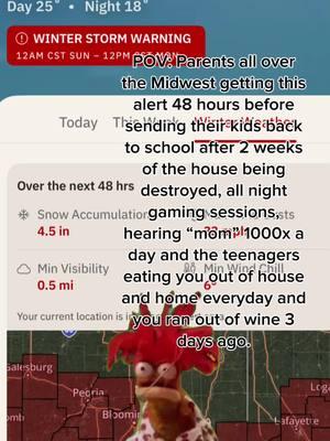 E-learning plans have already been sent out too 🙈 January Winter Storm 2025 does not have parental approval 🙃 #ihearyourvoice #pov #capcut #snowday 