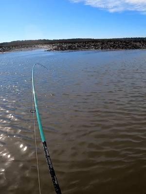 #redfish #kayakfishing #beaufortsc #fishing #fishtok #saltwaterfishing #bigfish #fy 