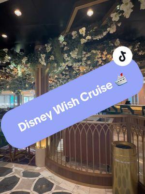 Cruising in the Disney Wish Cruise 🛳️✨ Message me for more info 📲 #disneywish #disneywishcruise #cruisetok #cruiselife #fyp #traveltips #travelvlog #travelbucketlist #traveltips 