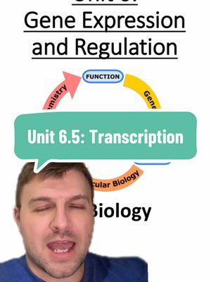 Unit 6.5: Transcription #transcription #translation #science #biology #teaching #apbiology #apbio #unit6 #genetics  #greenscreen 