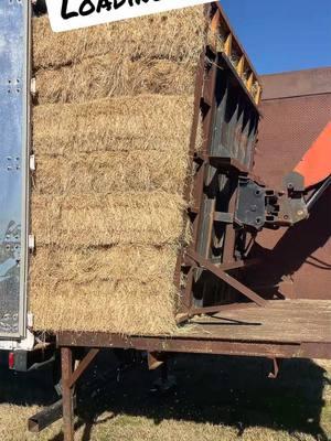 Loading hay on van trailers. #hay#jcb#southga#912@FFFEnterprises @whitakerfarms2011 @Jacob Smith 