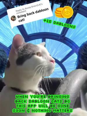 Replying to @Annie R•U•O•K on it! #dabloons #dablooncat #dabloonstok #memes #CapCut 