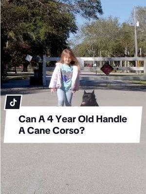 Alright folks, here we have a 4-year-old putting our 125-lb Cane Corso, Thanos, through his paces—and let me tell you, she’s got it DOWN! Watch as she confidently commands: 1️⃣ “Thanos, Down!” – Boom, he drops like a rock. 2️⃣ “Thanos, Here!” – Comes right to her without skipping a beat. 3️⃣ “Thanos, Sit!” – Nailed it. Now, you’ve got to admit, this is impressive stuff—especially from a kid who’s barely taller than his head! If a 4-year-old can do it, you can too, with the right training. Want this kind of control and confidence with your dog? Check out our FREE COURSE "DECODED" - LINK IN PROFILE #DogTraining #puppytraining #puppyfun #dogoftheday #puppytrainer #dogobediencetraining #balanceddogtraining #dogsaregreat #recall #puppytrain #k9trainer #dogobedience #dogbehavior #dogtrainingtips