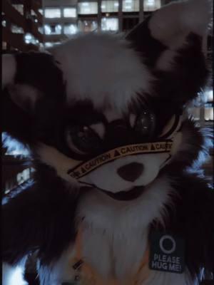 This song is so fire though 😭💛 #anw2025 #furryfandom #furyou #furrytiktok #furry #fursona #furrytok #furrycommunity #furrytiktoker #furrytrash #furries #furriesoftiktok #furrytrend #furrydance #antizoofile #fullsuit #fullsuiter #trend 