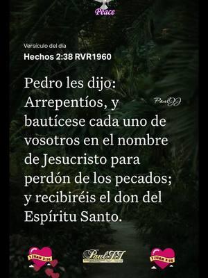 Hechos 2:38 RVR1960 #versiculodeldia #labibliaapp #jesus #juan316 #fe #amor #fuegodelespiritusanto #pauljjmusic🙏🏻📖🙌🏻👍💡 