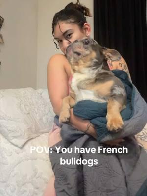 #frenchiesoftiktok #frenchie #babyhippo #fyp #homebodylife #creole #creoletiktok #mexican #mylife 