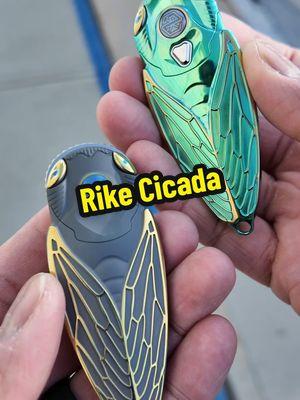 The @ketuoknife Rike Cicada is stunning.  I don't think anyone can argue that.  The aesthetic coupled with a brilliant fit and finish is a killer combination.  6 different versions are available at the link in my bio.  #edc #everydaycarry #edccommunity #everydaycarrycommunity #edcgear #everydaycarrygear #edcknife #pocketknife #everydaycarryknife 