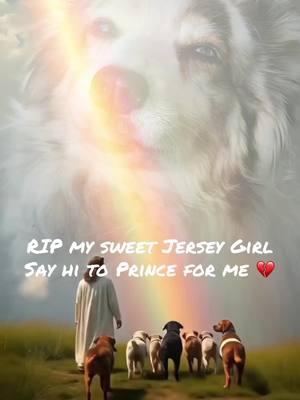 #CapCut #rainbowbridge #dogsoftiktok #dogs #pets #family #runfree 💔