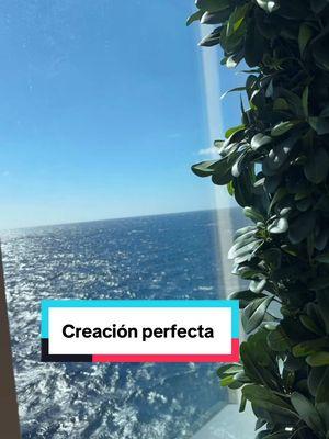 Tú creación es perfecta Señor! Gracias por tanto, gracias por todo. Te amo y no sé vivir sin ti mi Dios. Guíame durante este 2025 🙏.#graciasdiosportusbendiciones #creacionperfecta #navegando #realtoroftiktok #realtorinflorida #minivacay 