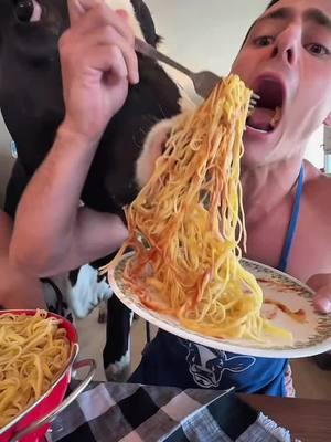 Trying to eat spaghetti in front of Bruce #cow #brucethecow #farm #viral #snack 