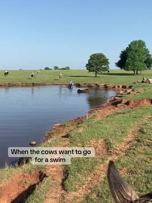 Was going through my memories and thought I’d share this video - we love NE but we sure miss our friends in OK❤️ #cowboyswife #ranchlife #feedyardlife 