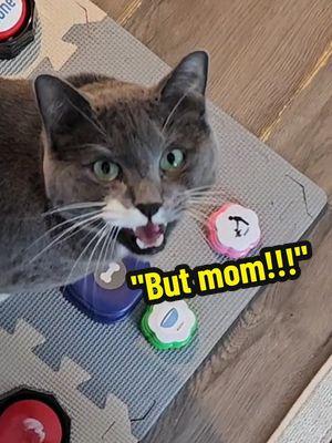 Digit is a whole mood. #catbuttons #talkingbuttons 