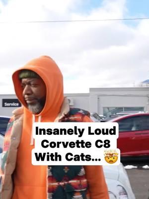 Customer trades his Corvette 8 for a BWM M8. No way this Corvette has cats, dude. #cats #cartrade #jersey #funnyconversation #catlover #fy #fyp