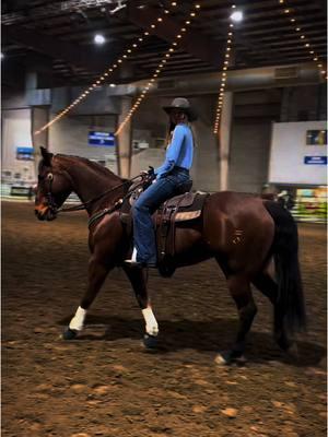 NWSS 2025🩵 #barrelracer #wpra #denver #theking #professionalbarrelracer #rodeo #cowgirl #rodeotok #prorodeoathlete #bigbay #nationalsesternstockshow #barrelracing #barrelracingtok #CapCut @Kali Nicole 