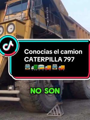 EL CAMIÓN MINERO MÁS GRANDE DEL MUNDO EL CATERPILLAR 797 #caterpillar #caterpillar797 #mundointeresante43 #mundoestelar43 #education #educacion #filosofia #sistema #informatica #salud #vida #mitología #mitologiagriega #cuentos #dioses #y #yp #ypfッ #ypf #nolosabias #cosasquenosabiashace5minutos #cosasquenosabias #AprendeEnTikTok #aprender #ciencia #fisica #galaxy #galaxia #universo #cultura #antiguedades #anatomia #cuerpohumano #cientificos #inteligenciaartificial #novedades #aprendeconmigo #historia #geografia #fabricacion #fabricacionmanual #tendencia #viral #medicina #SabiasQue #curisidadestiktok #asisehace #aprendedetodo #aprender #AprendeConTikTok #asies 