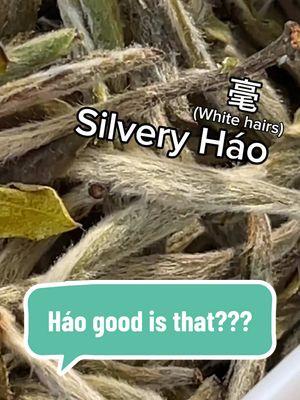 Replying to @Cassi hao good is that #tea #whitetea #silverneedle #jessesteahouse #gongfutea #chinese #fujian 