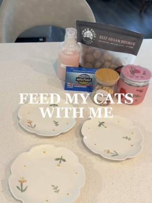 Feed my cats with me 🤍  On the Menu 🍽️ ⟡ @Viva Raw Rabbit ⟡ @Wild Planet Foods Sardines ⟡ @Oma’s Pride Beef Organ Rounds ⟡ @Petit Pawtisserie Flower Treats ⟡ @Arya.Sit Strawberry Yogurt ⟡ @OCRaw Pink Goat Milk Discounts 💌 🔖 “SIMPLEKITTIES” | 20% off Viva Raw 🔖 “SIMPLE25” | 25% off Oma’s Pride 🏷️✨ #catparent #catcare #catfood #petfeeding #cattreat #cattreats #pettreats #whatmycateats #whatifeedmycats #feedmycat #feedmycatswithme #feedingmycats #cateating #catfeeding #feedingcats #catfeedingroutine #catfoodprep #catfoodrecs #catfoodideas #petfood 