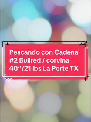 Pescando con Cadena #2 Bullred /Corvina 40”/21 lbs La Porte TX #pescacondrone #redfish #redfishing #texasfishing #avetreels #bajoquintoscadena #farabrosband #juevesconcadena #farabros 