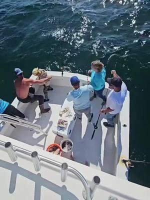 Our little buddy Easton caught this tiger shark, bigger than he was, live on tik tok yesterday! Captain @DJ  helped him reel this sea monster in! We love taking families and especially kids fishing! Their excitement and enthusiasm is unrivaled by any adult! These long videos never do well for me on Tik tok but if you all watch the whole video,like it, share it, and give us a follow maybe this one will! Tight lines fishing fam! #charterfishing #tigershark #fishtok #tiktoklive #deepseafishing @Nikki Carol @Reel Deal Outpost 