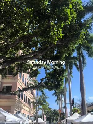 Gym then farmers market is what Saturday morning dreams are made of  #fy #fypシ゚viral #fyp #fypage #greenmarket #wpb #florida #farmersmarket #thrifting #foodtiktok 