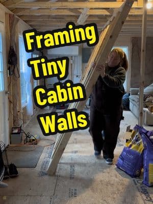 Framing a tiny cabin wall #offgridcabin #shedtohouse #carpentery