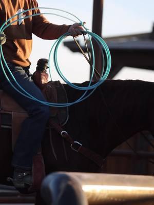 Big girl crip walkin’. 🤌🏼 #thebpranch #bpperformancehorses #ropehorse #headhorse #runcowcross #vogue #elite #horsesoftiktok #equinelife #marepower #teamroping 