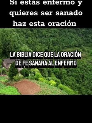 #Dios #paz #amor #fe #labiblia #oracion #reflexiones #valores #amorpropio #salud #oracion 